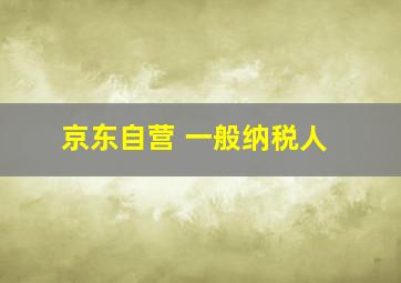 京东自营 一般纳税人