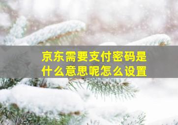 京东需要支付密码是什么意思呢怎么设置