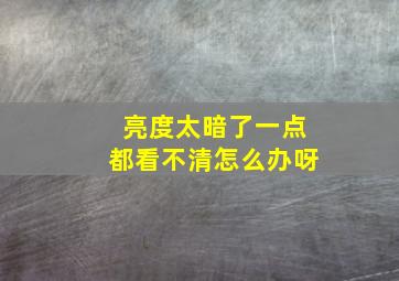 亮度太暗了一点都看不清怎么办呀