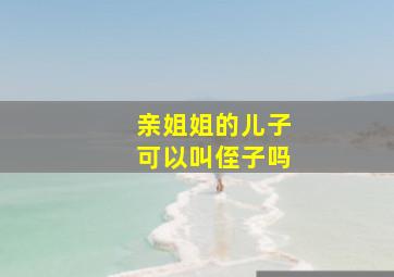 亲姐姐的儿子可以叫侄子吗