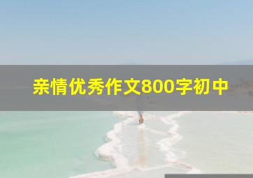 亲情优秀作文800字初中