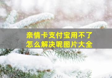 亲情卡支付宝用不了怎么解决呢图片大全