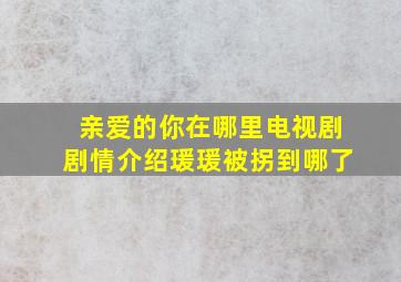 亲爱的你在哪里电视剧剧情介绍瑗瑗被拐到哪了