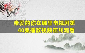 亲爱的你在哪里电视剧第40集播放视频在线观看