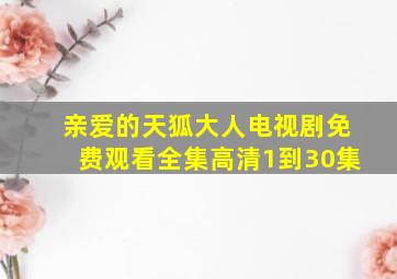 亲爱的天狐大人电视剧免费观看全集高清1到30集