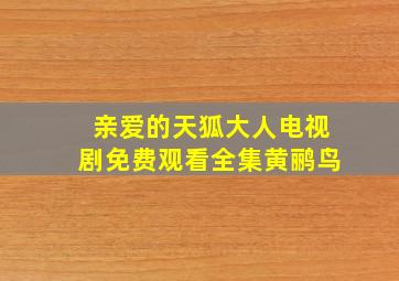 亲爱的天狐大人电视剧免费观看全集黄鹂鸟