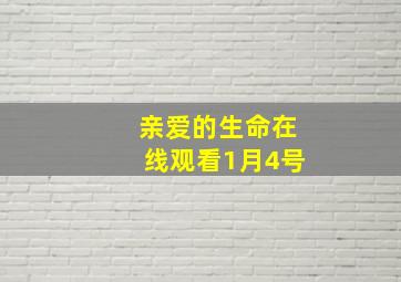 亲爱的生命在线观看1月4号