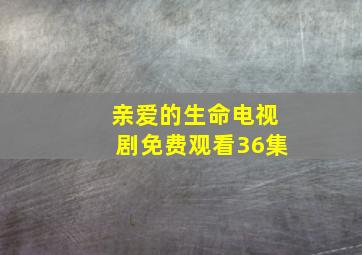 亲爱的生命电视剧免费观看36集