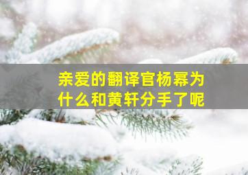 亲爱的翻译官杨幂为什么和黄轩分手了呢