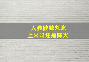 人参健脾丸吃上火吗还是降火