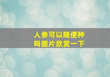 人参可以随便种吗图片欣赏一下