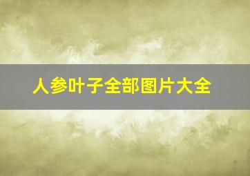 人参叶子全部图片大全