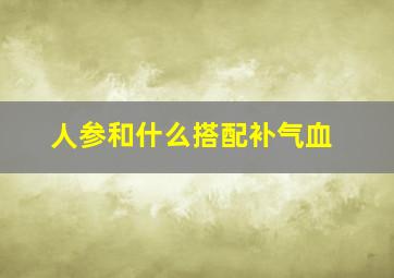 人参和什么搭配补气血