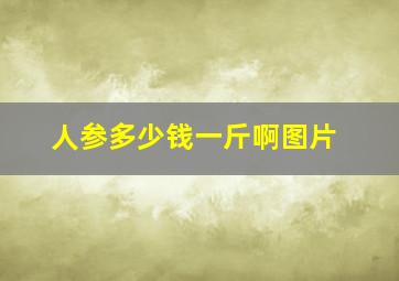 人参多少钱一斤啊图片