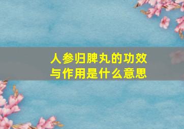 人参归脾丸的功效与作用是什么意思