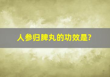 人参归脾丸的功效是?