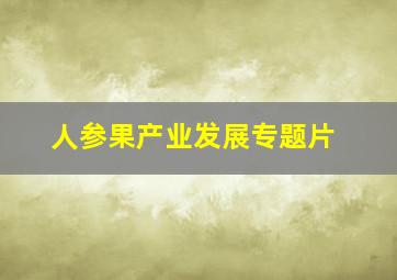 人参果产业发展专题片