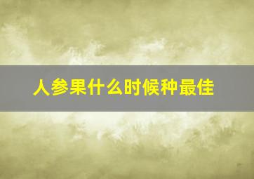 人参果什么时候种最佳