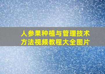 人参果种植与管理技术方法视频教程大全图片