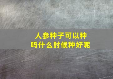 人参种子可以种吗什么时候种好呢