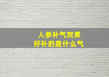 人参补气效果好补的是什么气