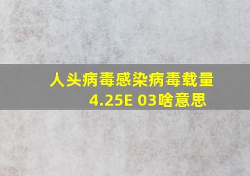 人头病毒感染病毒载量4.25E+03啥意思