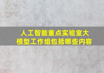 人工智能重点实验室大模型工作组包括哪些内容