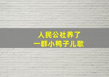 人民公社养了一群小鸭子儿歌