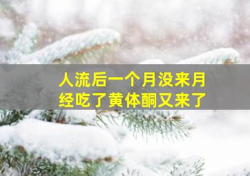 人流后一个月没来月经吃了黄体酮又来了