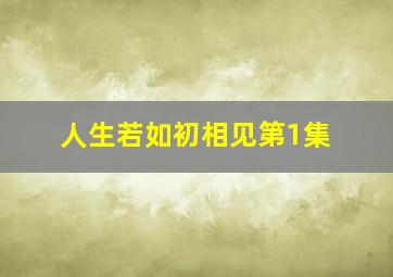 人生若如初相见第1集