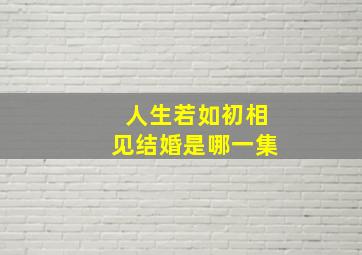 人生若如初相见结婚是哪一集