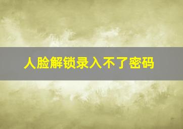 人脸解锁录入不了密码