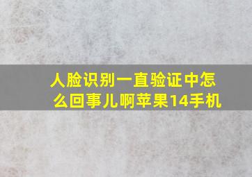 人脸识别一直验证中怎么回事儿啊苹果14手机