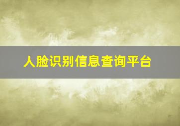 人脸识别信息查询平台