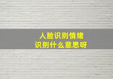 人脸识别情绪识别什么意思呀