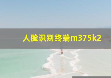 人脸识别终端m375k2