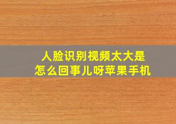 人脸识别视频太大是怎么回事儿呀苹果手机