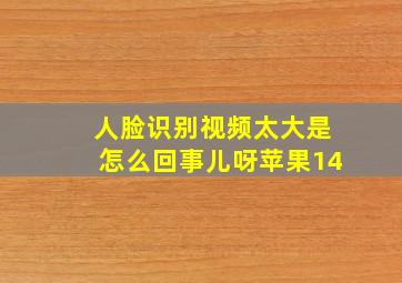 人脸识别视频太大是怎么回事儿呀苹果14