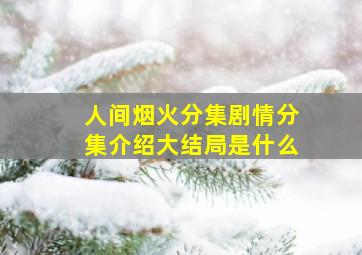 人间烟火分集剧情分集介绍大结局是什么