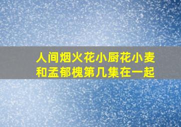 人间烟火花小厨花小麦和孟郁槐第几集在一起