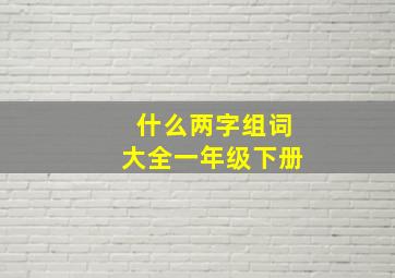 什么两字组词大全一年级下册