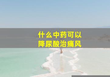 什么中药可以降尿酸治痛风