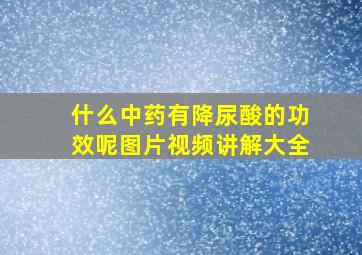 什么中药有降尿酸的功效呢图片视频讲解大全