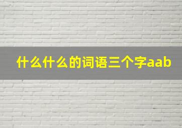 什么什么的词语三个字aab