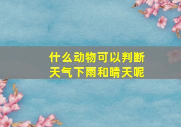 什么动物可以判断天气下雨和晴天呢