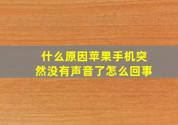 什么原因苹果手机突然没有声音了怎么回事