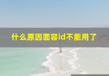 什么原因面容id不能用了