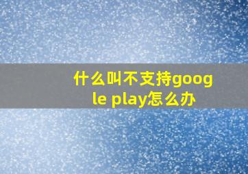 什么叫不支持google play怎么办