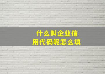 什么叫企业信用代码呢怎么填