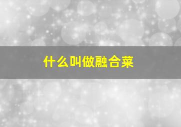 什么叫做融合菜